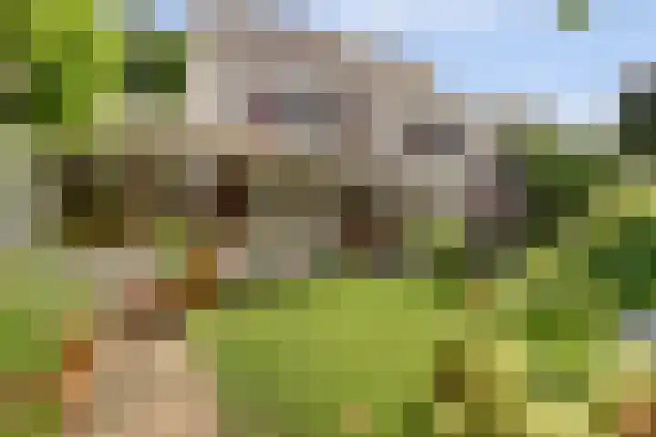Parklaan 23 Son en Breugel thumbnail 4