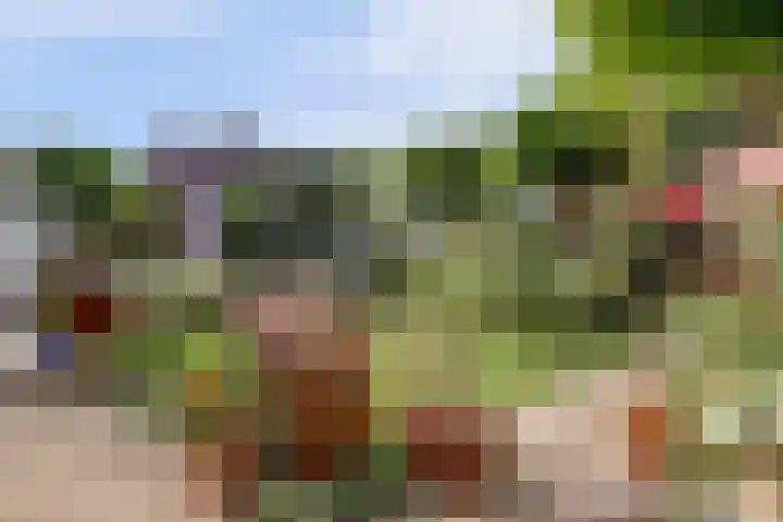 Parklaan 23 Son en Breugel thumbnail 41