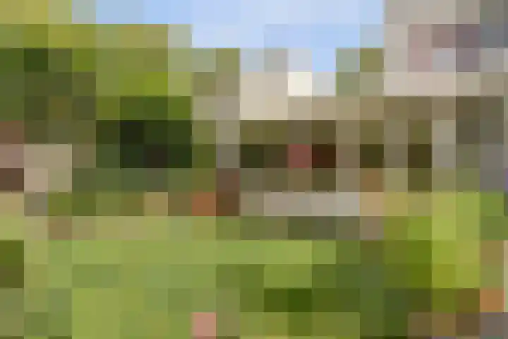 Parklaan 23 Son en Breugel thumbnail 44