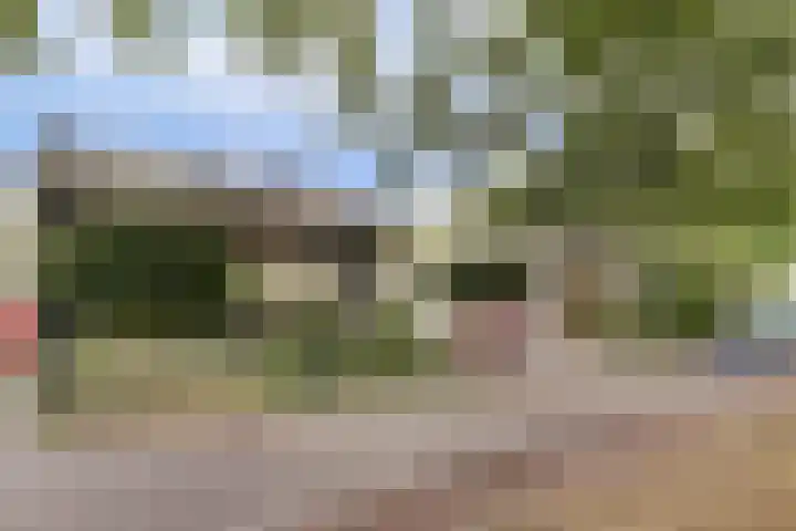 Parklaan 23 Son en Breugel thumbnail 5