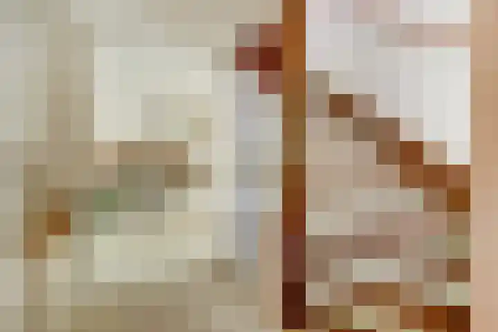 Parklaan 23 Son en Breugel thumbnail 9