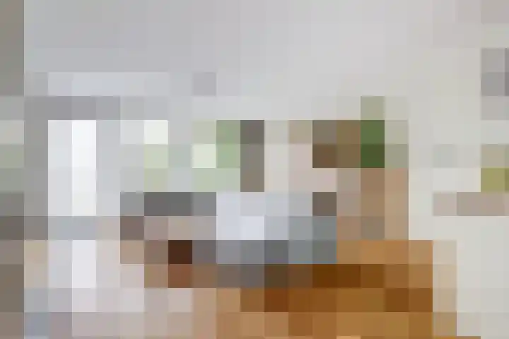 Parklaan 25 De Lier thumbnail 4
