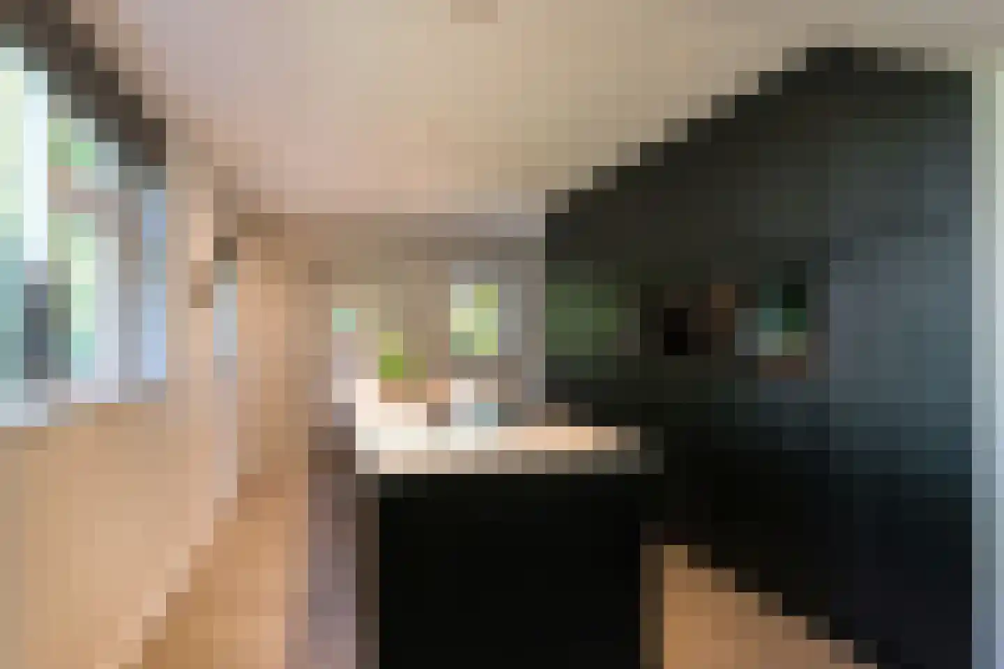 Parklaan 25 Eindhoven thumbnail 20