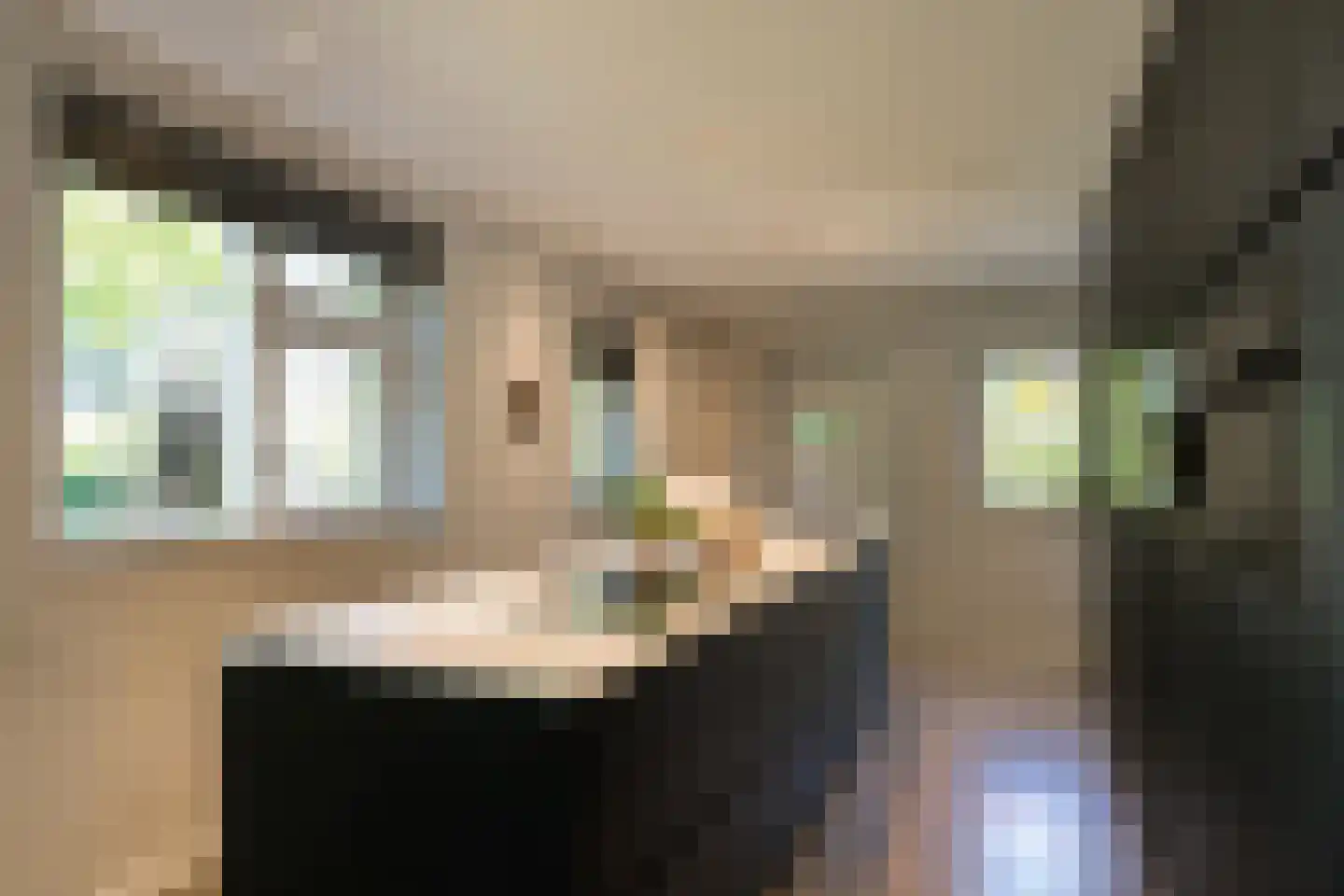 Parklaan 25 Eindhoven thumbnail 21
