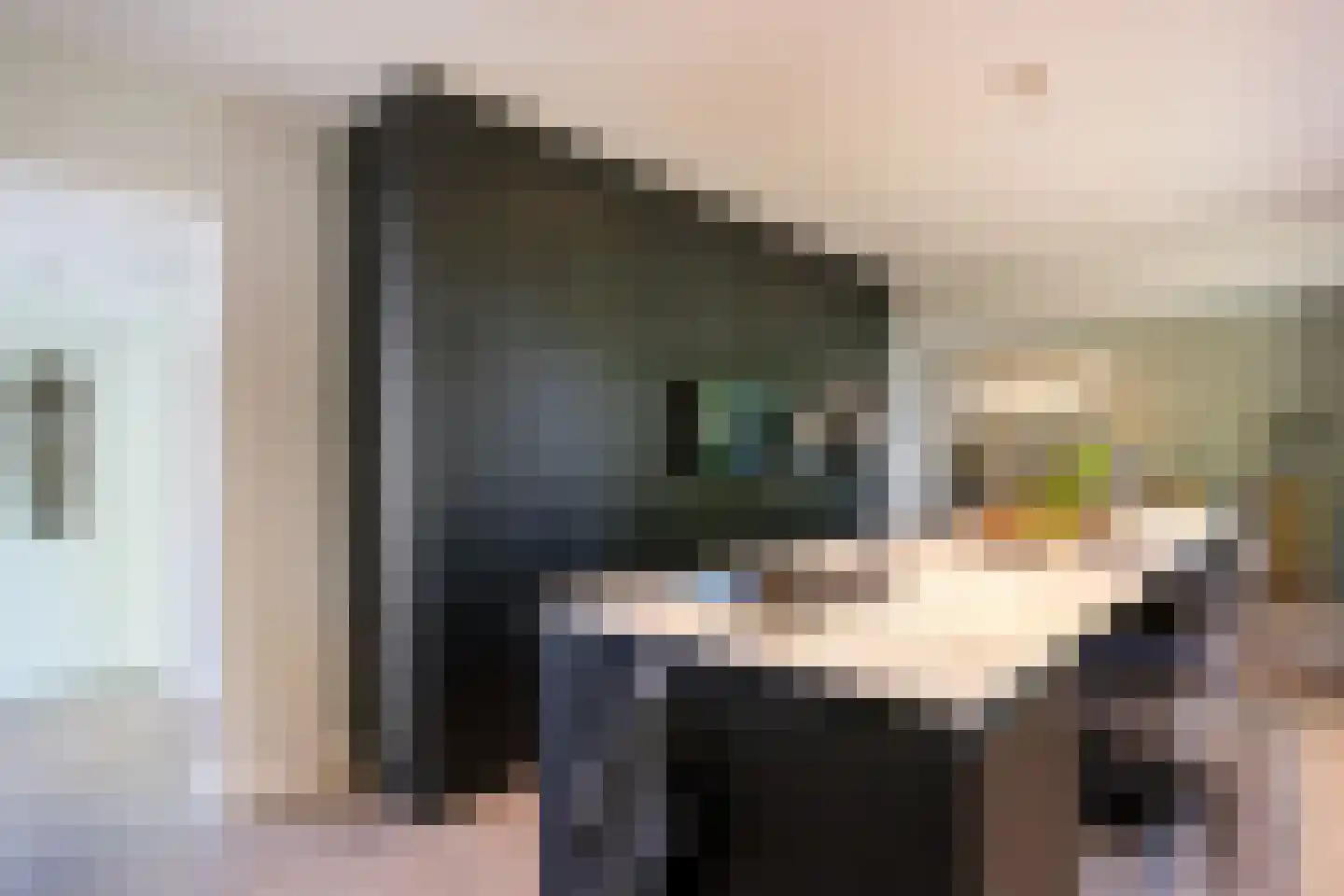 Parklaan 25 Eindhoven thumbnail 22