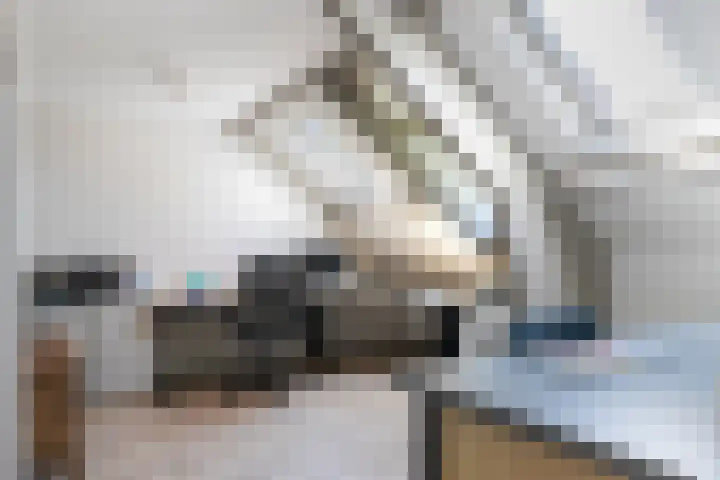 Parklaan 25 Eindhoven thumbnail 36