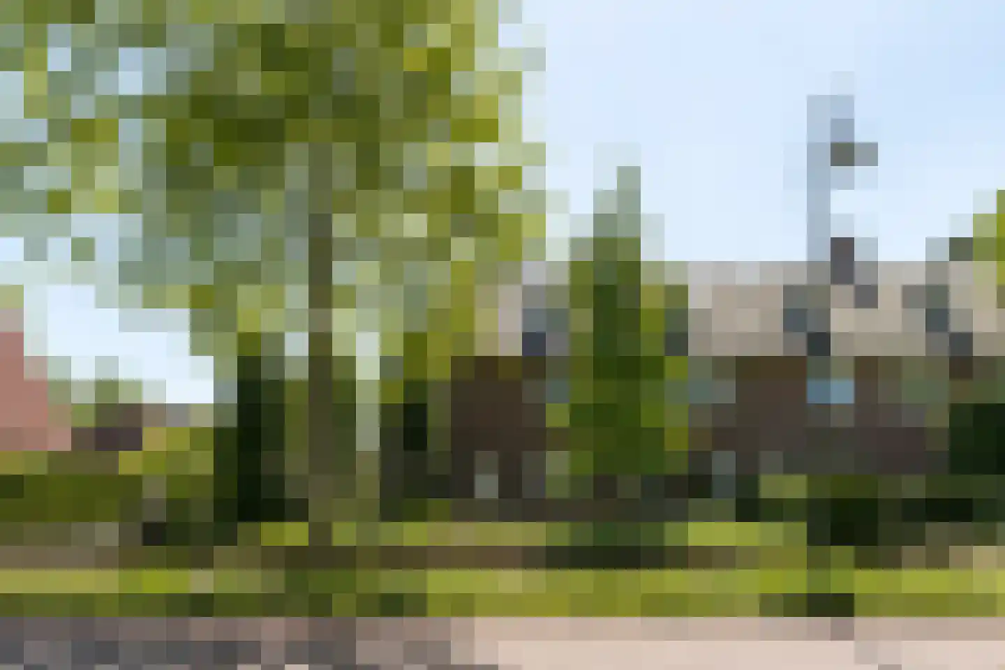 Parklaan 25 Eindhoven thumbnail 6