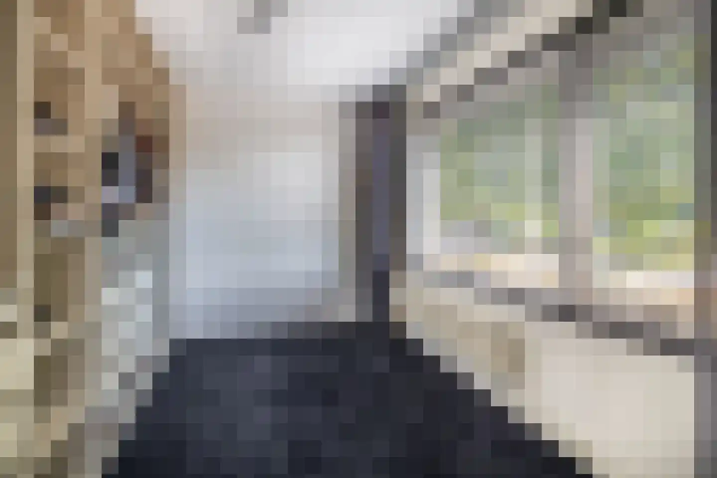 Parklaan 25 Musselkanaal thumbnail 34