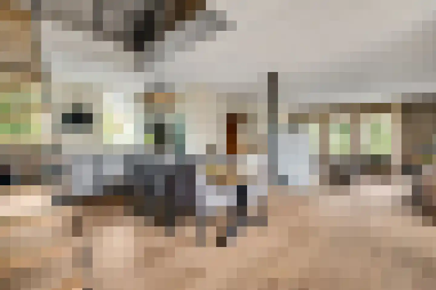 Parklaan 26 B Stramproy thumbnail 15