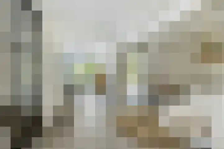 Parklaan 26 Veenendaal thumbnail 17