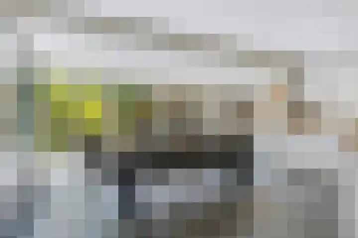 Parklaan 26 Veenendaal thumbnail 18
