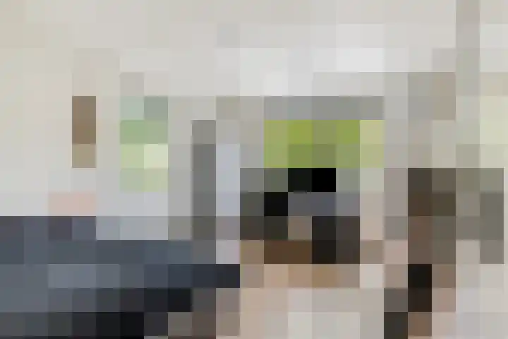 Parklaan 26 Veenendaal thumbnail 30