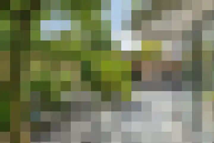 Parklaan 26 Veenendaal thumbnail 4