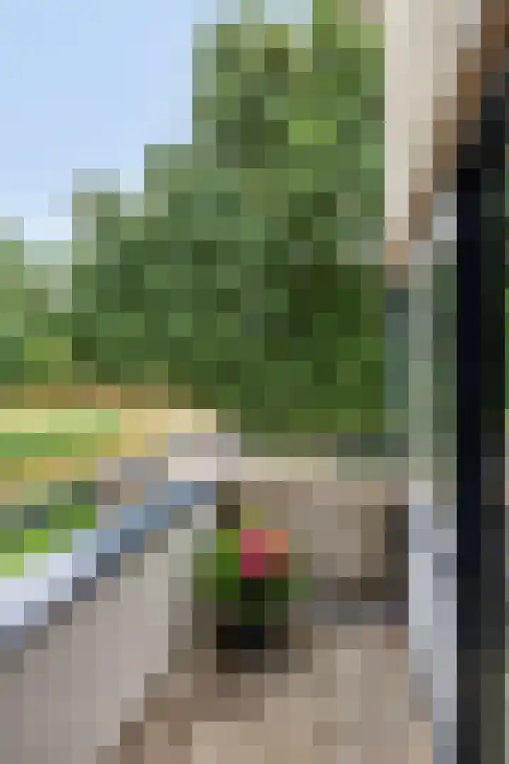 Parklaan 26 Veenendaal thumbnail 40