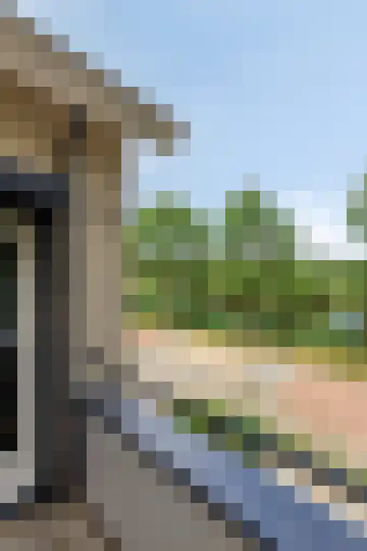Parklaan 26 Veenendaal thumbnail 41