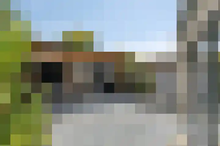 Parklaan 26 Veenendaal thumbnail 43