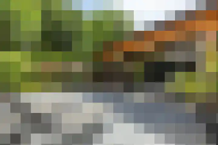 Parklaan 26 Veenendaal thumbnail 44