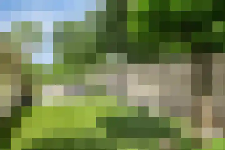 Parklaan 26 Veenendaal thumbnail 47