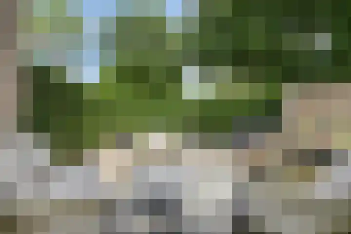 Parklaan 26 Veenendaal thumbnail 49