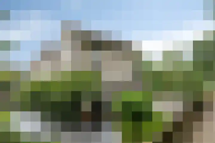 Parklaan 26 Veenendaal thumbnail 5
