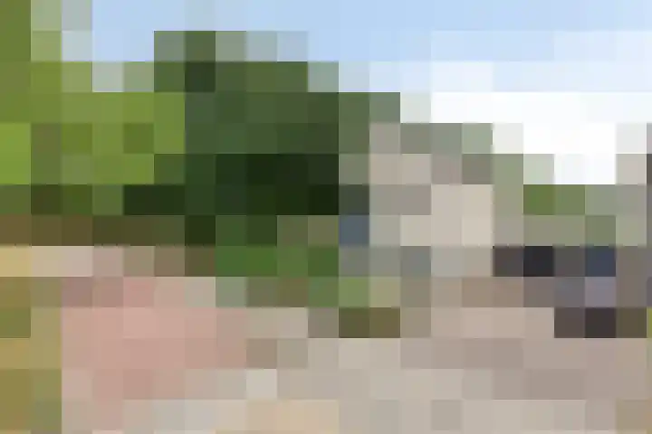 Parklaan 26 Veenendaal thumbnail 53