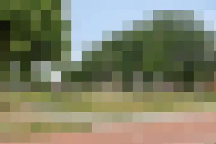 Parklaan 26 Veenendaal thumbnail 54