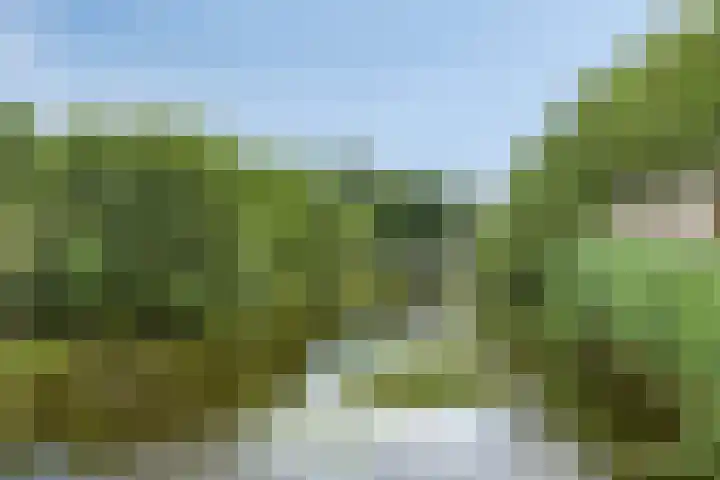 Parklaan 26 Veenendaal thumbnail 55