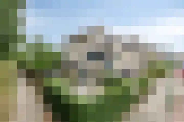 Parklaan 26 Veenendaal thumbnail 6