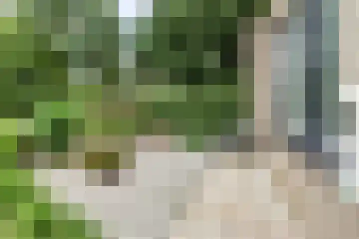 Parklaan 26 Veenendaal thumbnail 9