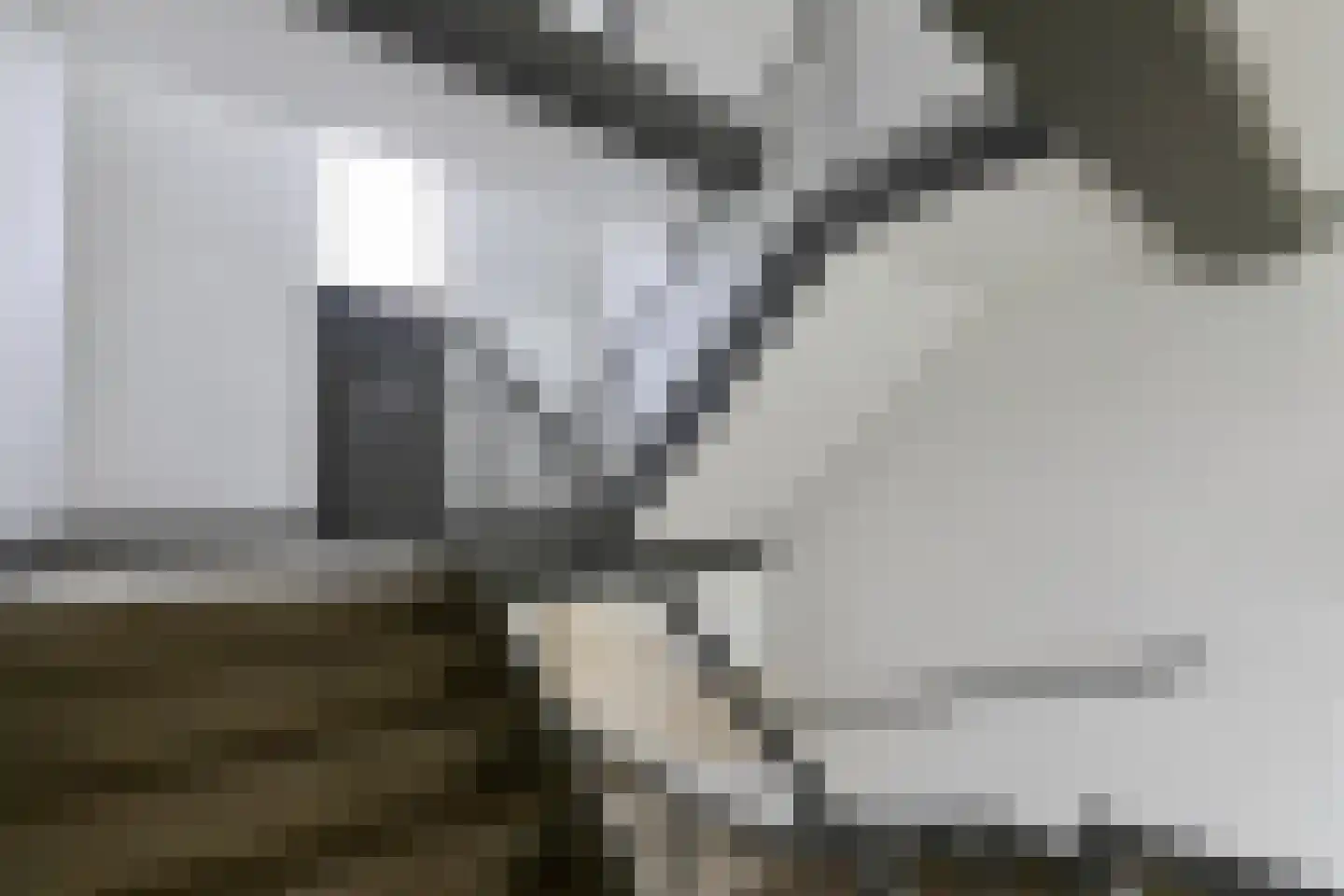 Parklaan 27 Nuth thumbnail 17