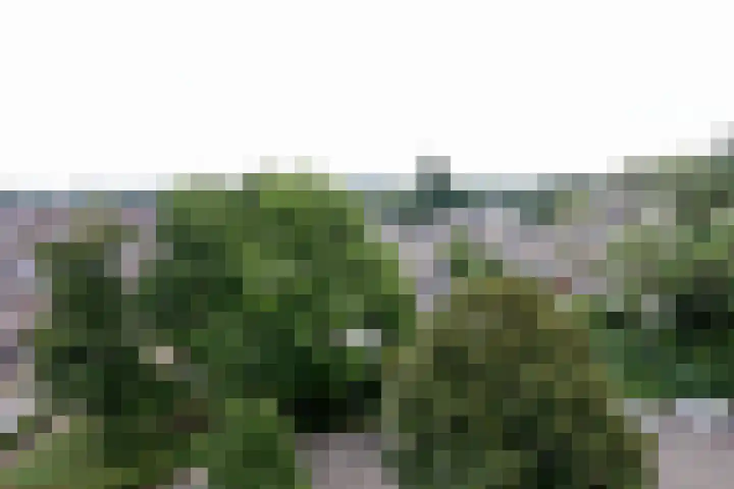 Parklaan 27 Nuth thumbnail 24