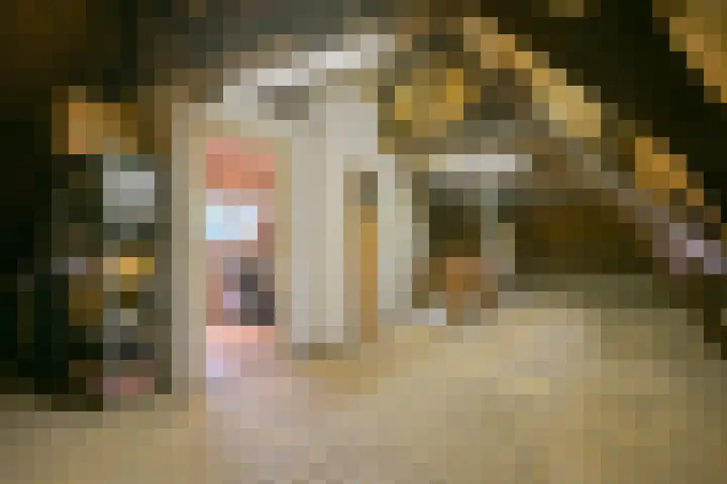 Parklaan 29 Sittard thumbnail 42