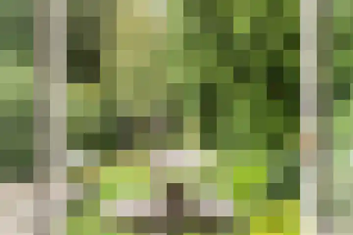 Parklaan 29 Soest thumbnail 27