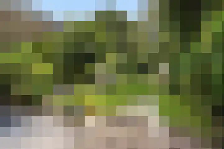 Parklaan 29 Soest thumbnail 37