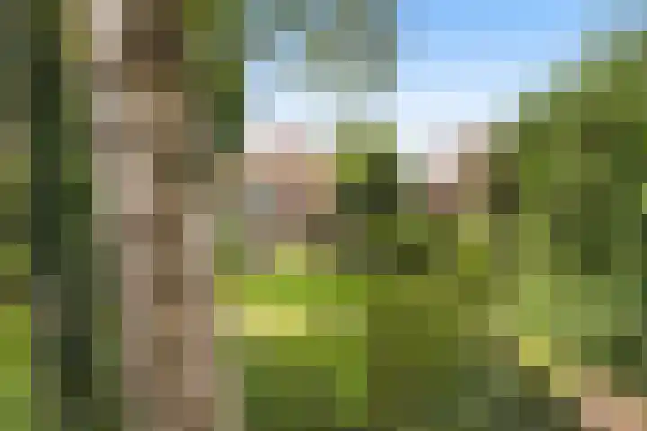 Parklaan 29 Soest thumbnail 40