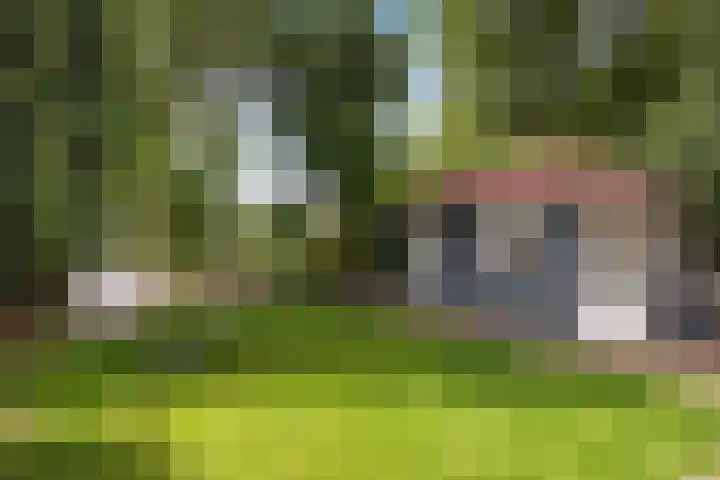 Parklaan 29 Soest thumbnail 41