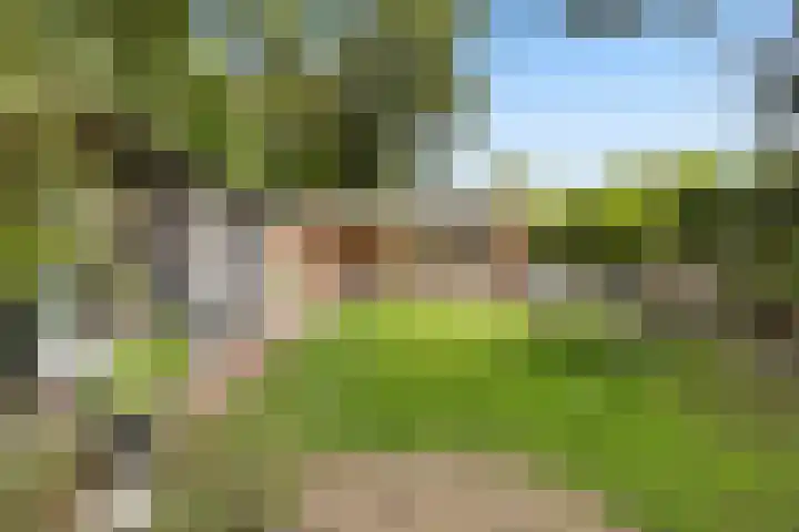 Parklaan 29 Soest thumbnail 43