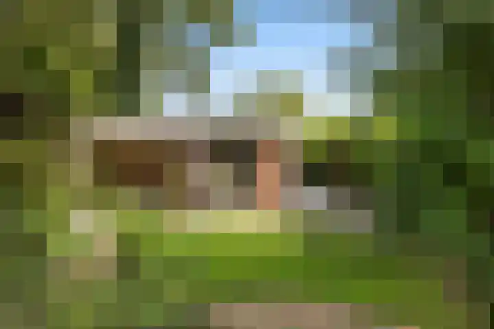 Parklaan 29 Soest thumbnail 44