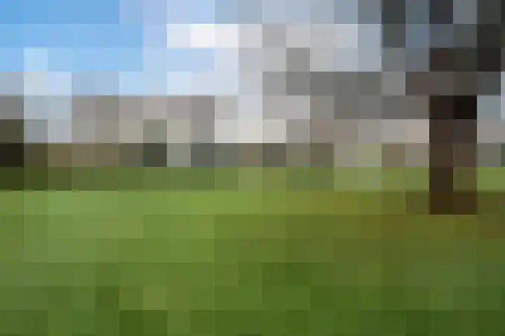 Parklaan 3 a Sassenheim thumbnail 13