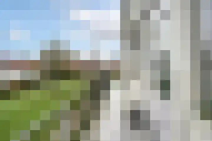 Parklaan 3 a Sassenheim thumbnail 4