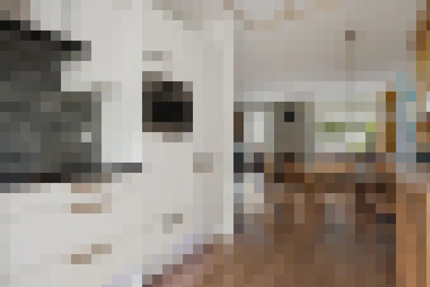 Parklaan 3 Grootegast thumbnail 13
