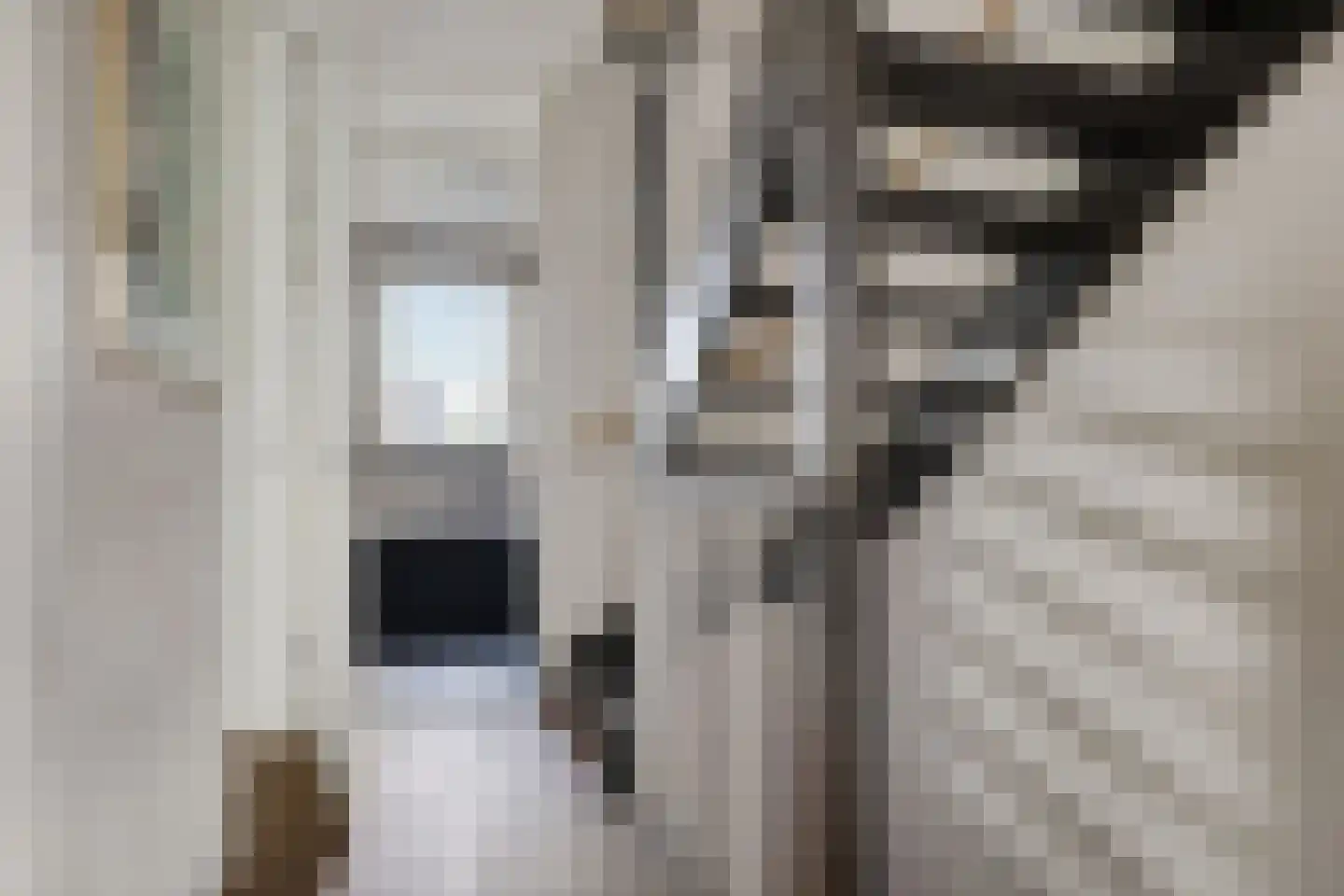 Parklaan 3 Grootegast thumbnail 24