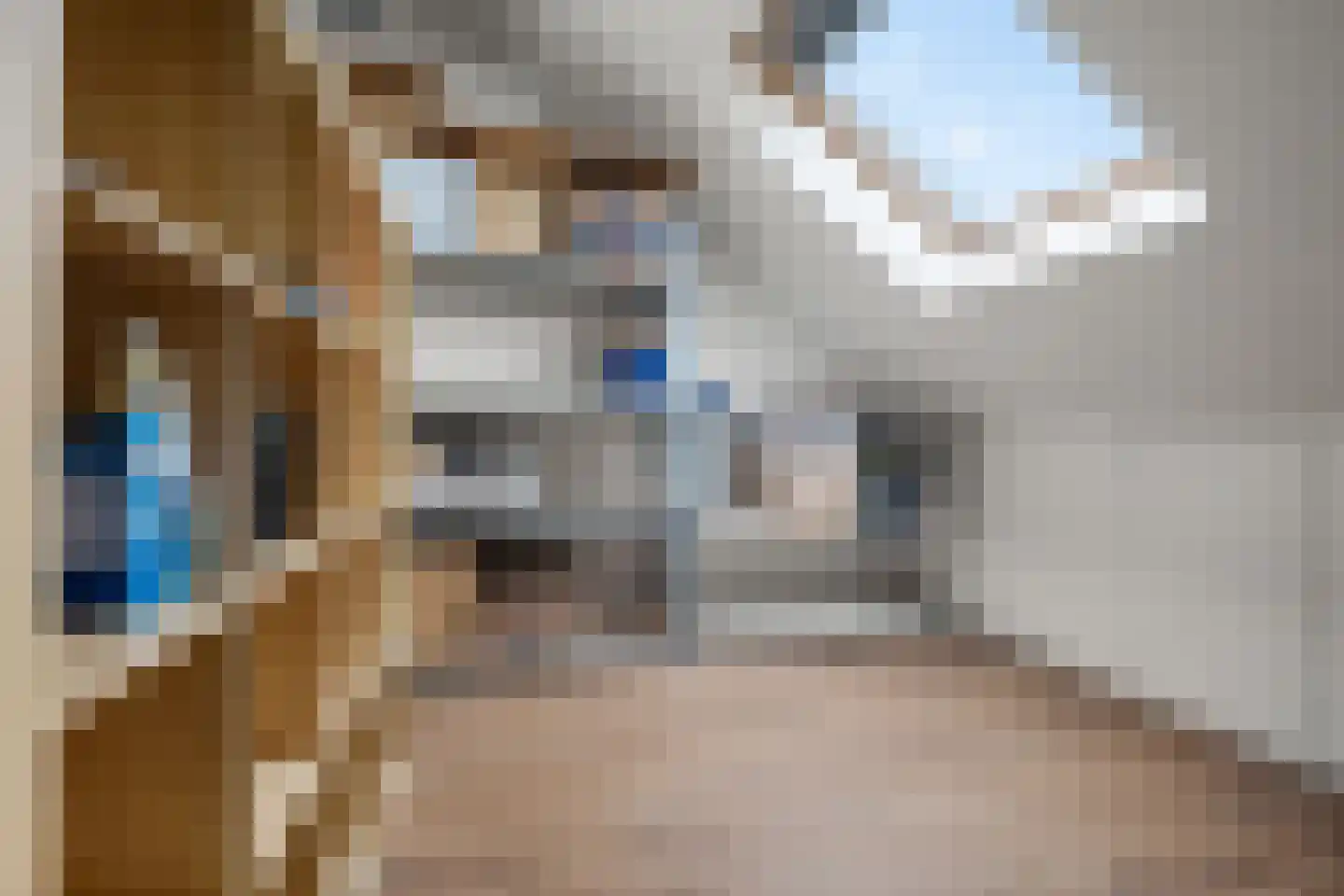 Parklaan 3 Grootegast thumbnail 27