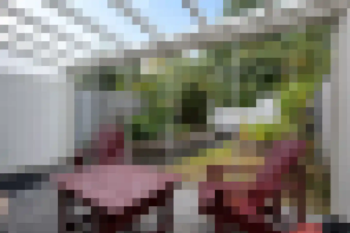 Parklaan 3 Grootegast thumbnail 29