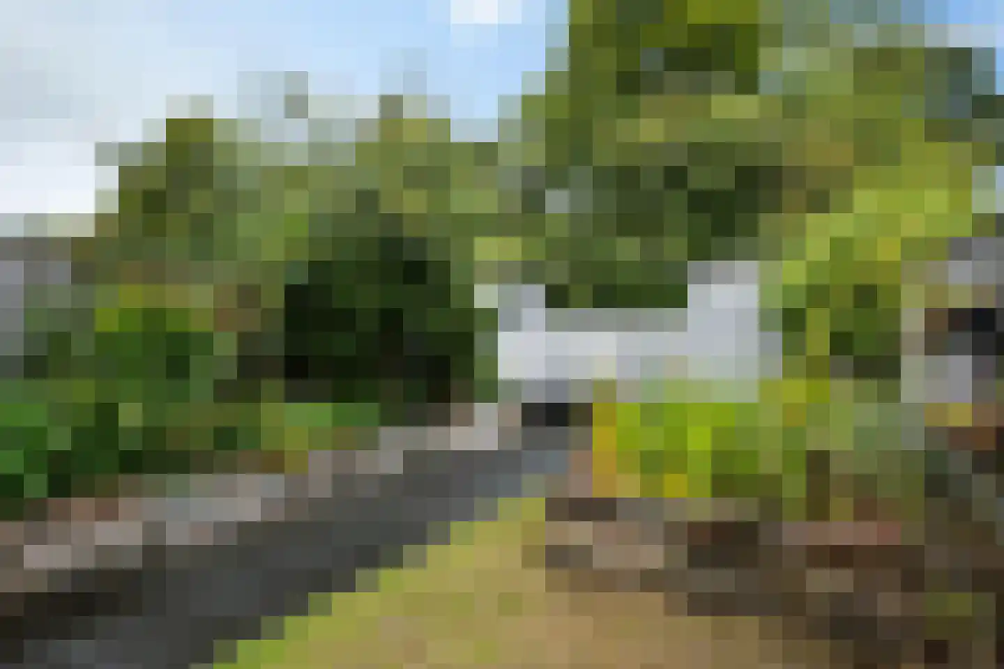 Parklaan 3 Grootegast thumbnail 32