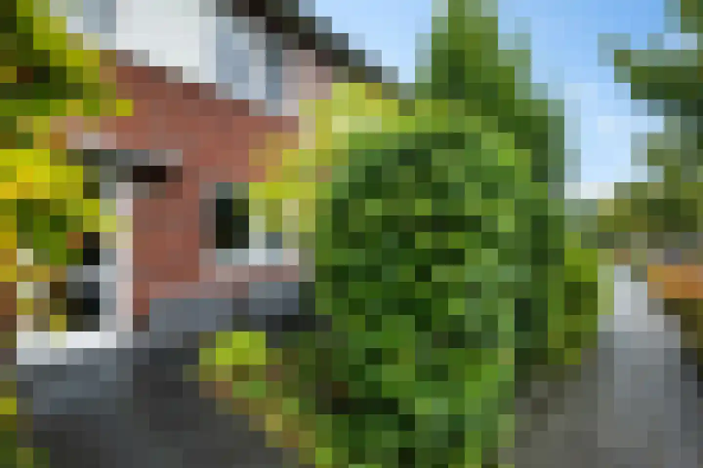 Parklaan 3 Grootegast thumbnail 35