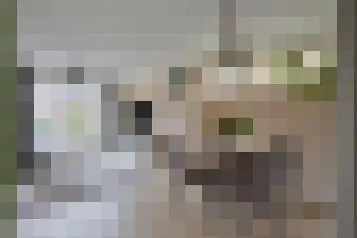 Parklaan 3 Melick thumbnail 8