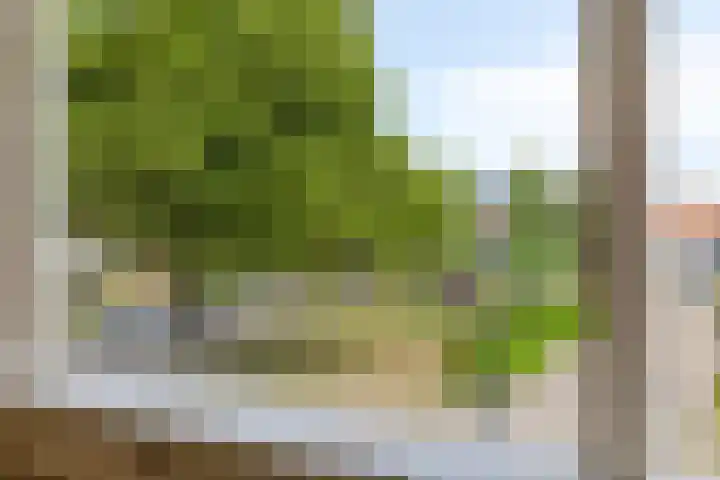 Parklaan 3 Prinsenbeek thumbnail 16