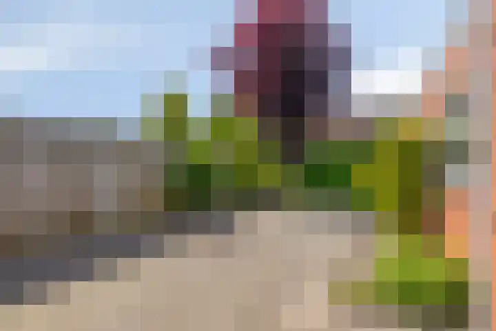 Parklaan 3 Prinsenbeek thumbnail 19