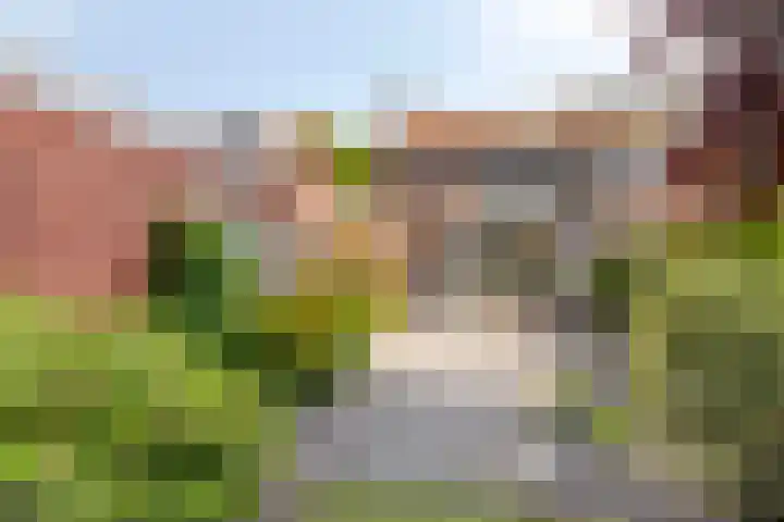 Parklaan 3 Prinsenbeek thumbnail 20